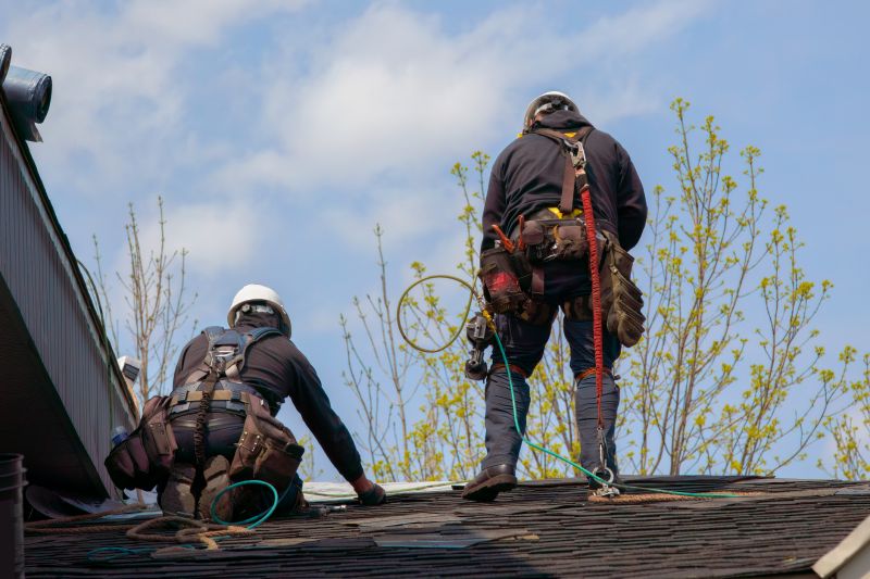 Roof Maintenance in Spring